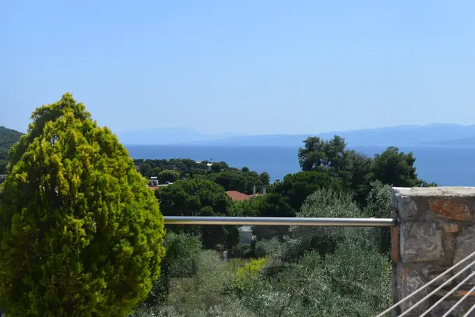 The view over olive trees and villas to the sea