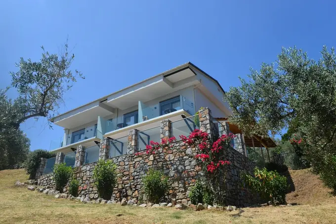 The building with bougainvillea and olive trees under a blue sky